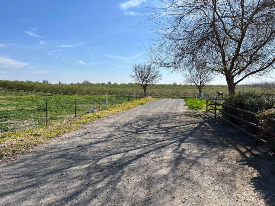 Adorable 1 Bedroom With Pool, And Horse Arena Oakdale Buitenkant foto
